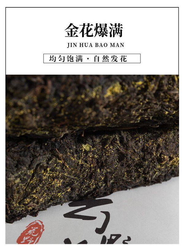 HelloYoung 1kg Hunan Anhua Black Tea Aged Tea Hand-built Fu Brick Golden Flower Black Tea