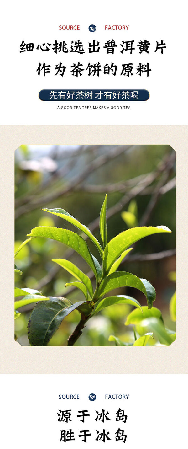 HelloYoung 357g Yunnan Pu'er Raw Tea Cake Ancient Tree Tea Cake Healthy Drink