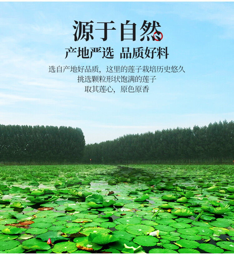 Premium Lotus Plumule Authentic Lotus Seed Heart Chinese Herbal Tea