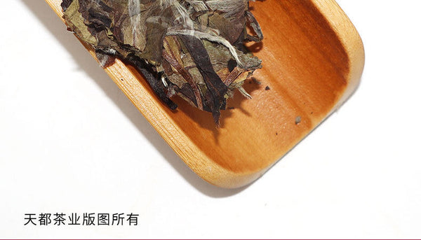 HelloYoung 350g Fuding white tea white peony king tea cake Panxi spring tea white tea