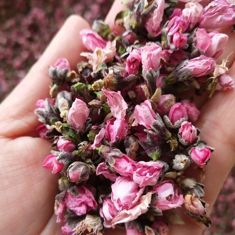 HelloYoung Wholesale peach blossom / dried peach blossom origin direct sales 500g/12.59oz