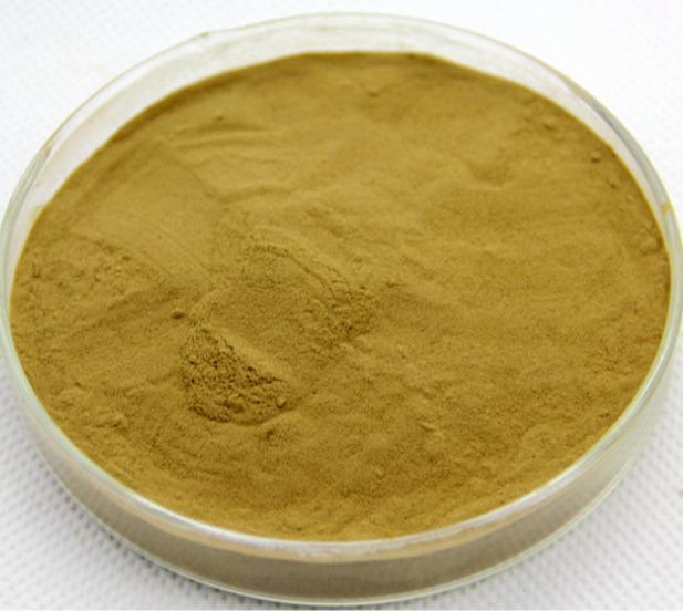 100g Nettle Root Extract Powder 12:1 – Chinese Herb, Natural Health Support Main image