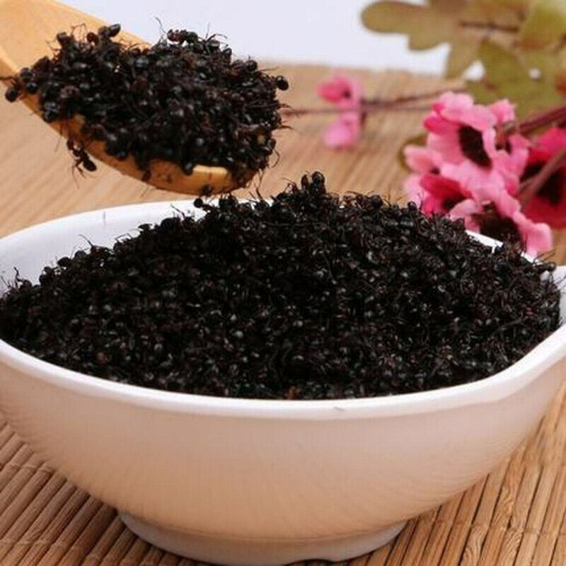 HelloYoung Black Ant Vic Roger Polyrhachis Premuim China Wild Chang Bai Shan Mountain 500g Main image