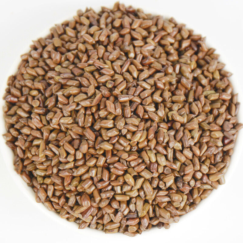HelloYoung 500g Cassia seeds tea new product cooked cassia seeds tea bulk herbal tea