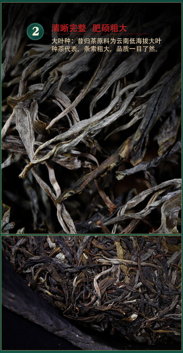 HelloYoung 357g YikuChun Yunnan Pu'er Tea Xigui Highly Fragrant Sweet Pure Material Raw Tea