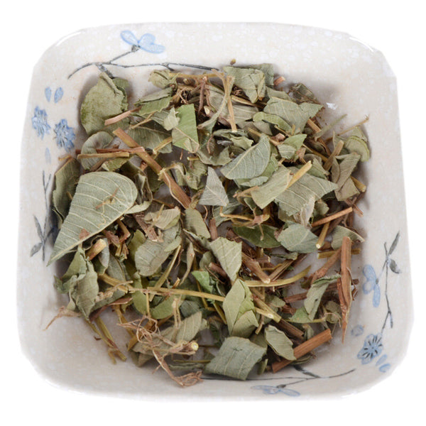 Wild Lysimachiae Herba Freshly Soaked in Water Non-sulfur Chinese Herbal Tea 金錢草