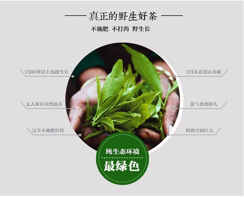 200g Spring Raw Puer Tea Brick Wild Trees Pu-erh Tea Yunnan Natural Green Tea 普洱
