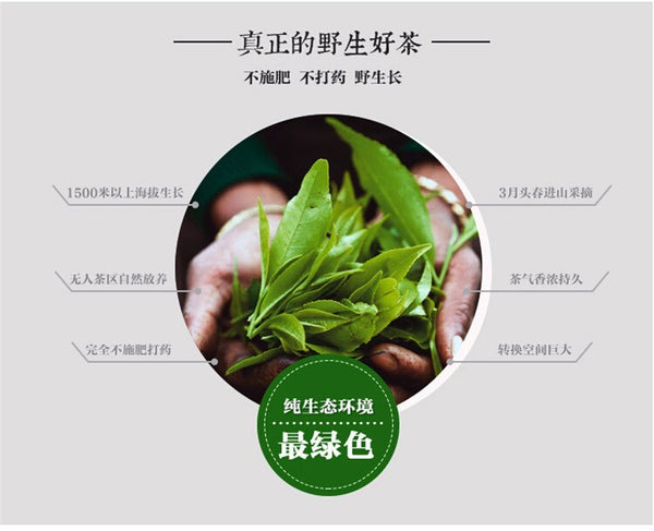 200g Spring Raw Puer Tea Brick Wild Trees Pu-erh Tea Yunnan Natural Green Tea 普洱