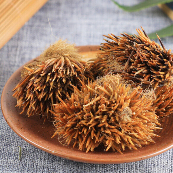 50g 100% Organic Top-grade Authentic Hedgehog Skin Ciweipi Healthy Care 正品刺猬皮