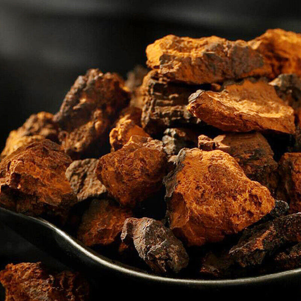 Premium Chaga Mushroom Tea: Natural, Unsulphured, Wellness Drink