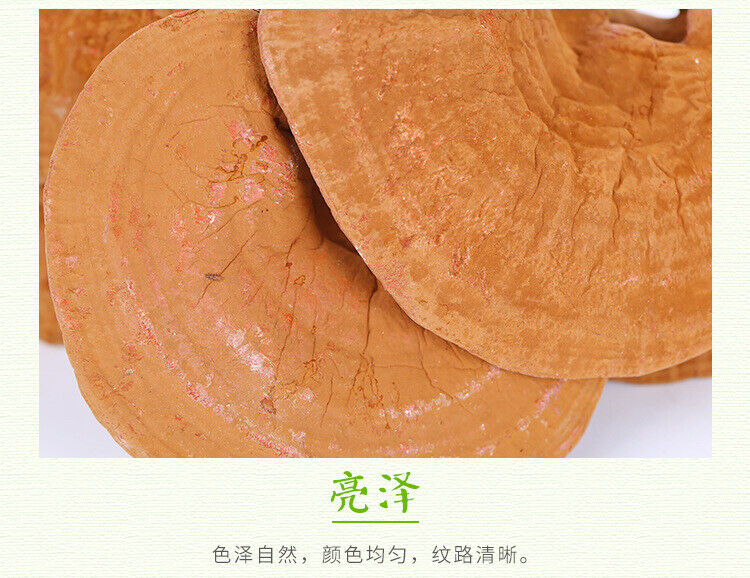 Changbai Mountain Ganoderma Lucidum Red Lingzhi Purple Lingzhi Edible Fungi 500g