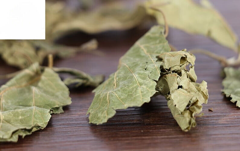 Sang Ye/桑叶/뽕잎/ Folium MoriMulberry Loose Leaves / Dried Loose Leaves Secondary image