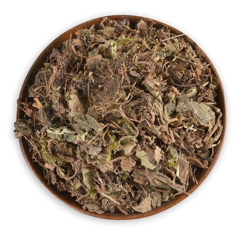 Organic Dried Saxifraga Stolonifera, Herba Saxifragae, Saxifrage