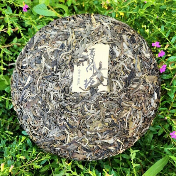 357g/12.59oz Zhonghong India Mint Tang Pu'er  Tea Top Ancient  Pu'er Green Tea