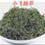 Dried Thyme-leaved spurge Redcausticreeper Euphorbiathymifolia Xiao Fei Yang Cao