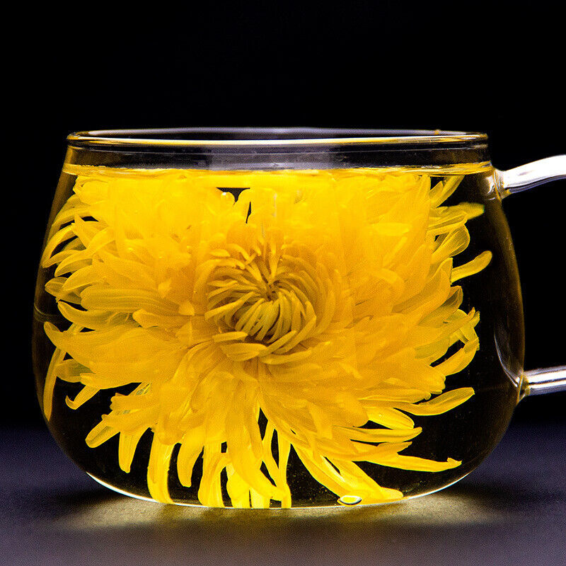Golden Chrysanthemum Tea Big Yellow Chrysanthemum One Cup Per Flower 12G/BOX