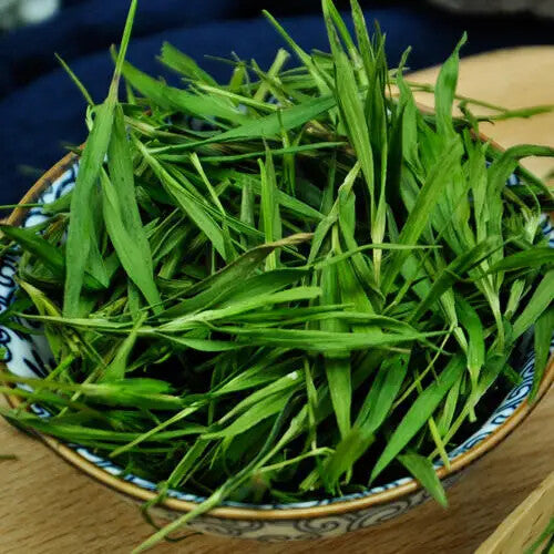 Organic Quality Bamboo Leaf Tea Lophatherum Gracile Tea Herbal Tea