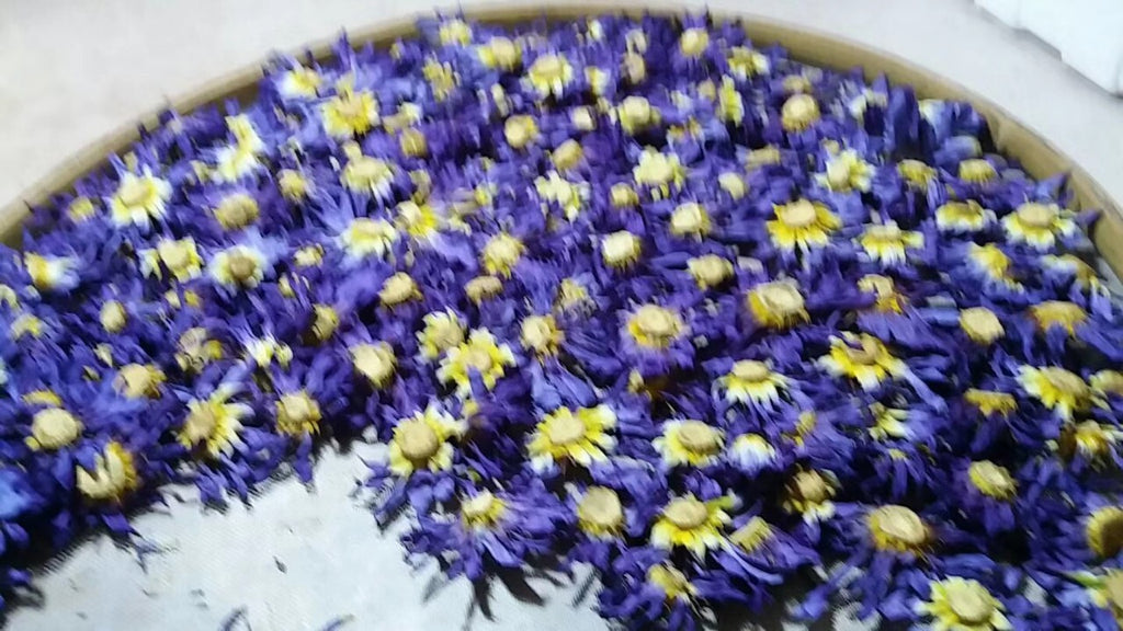 Beauty and Relaxation Lotus Flower Tea New Harvest Blue Lotus Dried Flowers