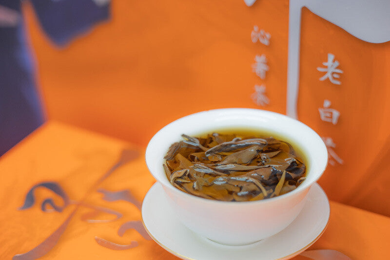 Fuding White Tea 2013 Gongmei Old White Tea Jujube Fragrance Alpine Tea 500g