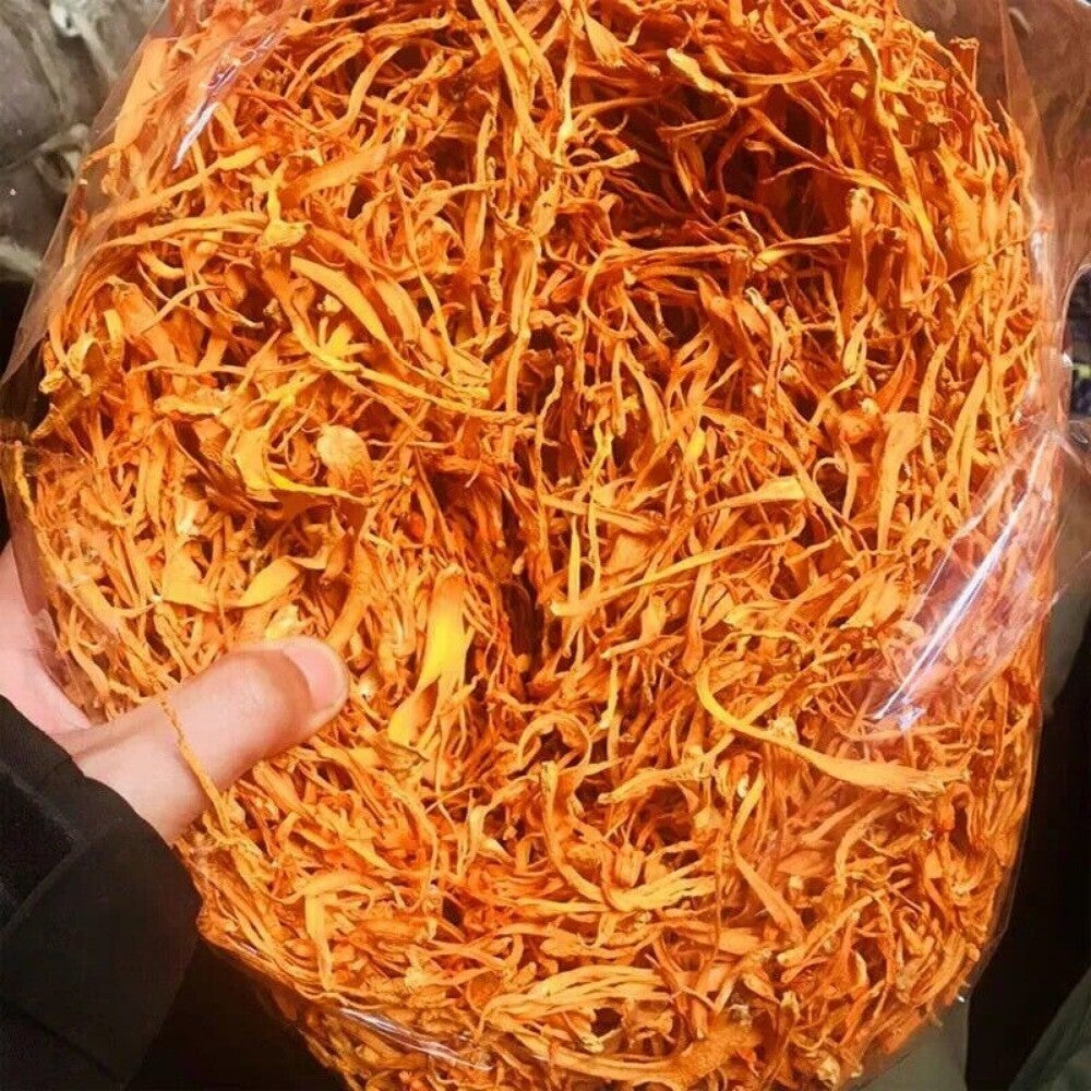 Organic Cordyceps Militaris 500g Premium Super Mushroom Chong Cao Hua Natural