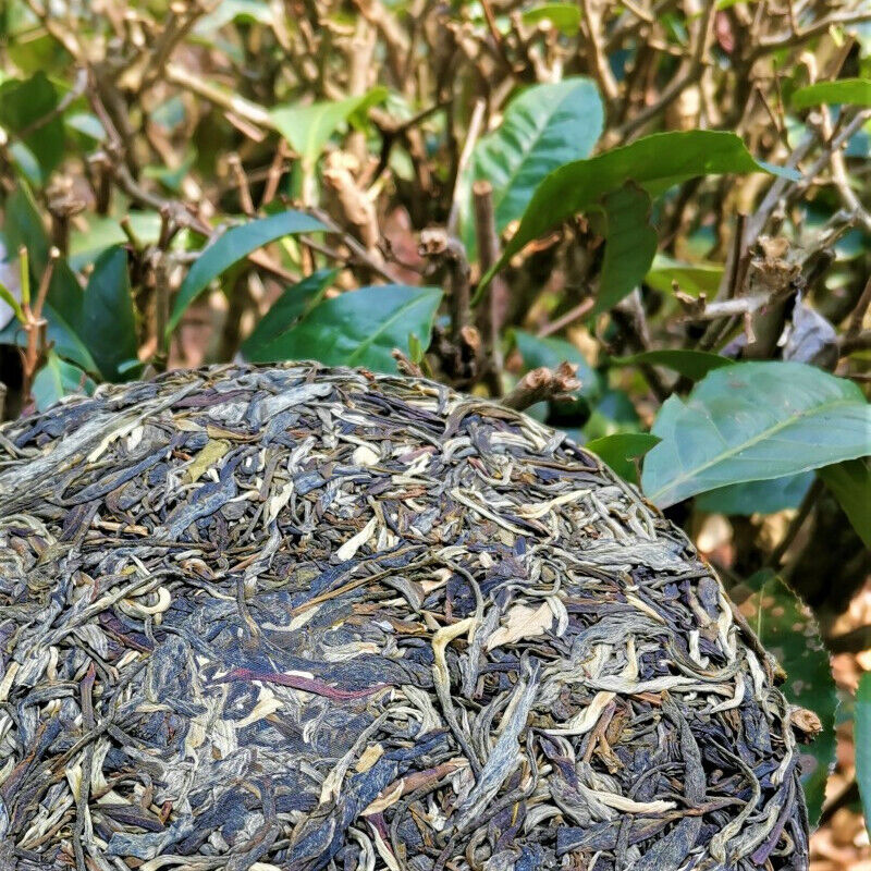 357g/12.59oz Top Green TeaZhonghong India Mengku Spring Tea  Pu'er Tea Cake