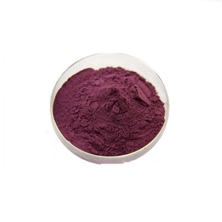 200g 4x Stronger Antioxident Anthocyanin Bilberry Fruit Powder 4:1 Extract