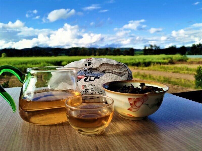 HelloYoung Nannushan Raw Pu'er Tea Cake Yunnan Meng Ma Pu'er Tea Leaves Cake Tea 12.6oz