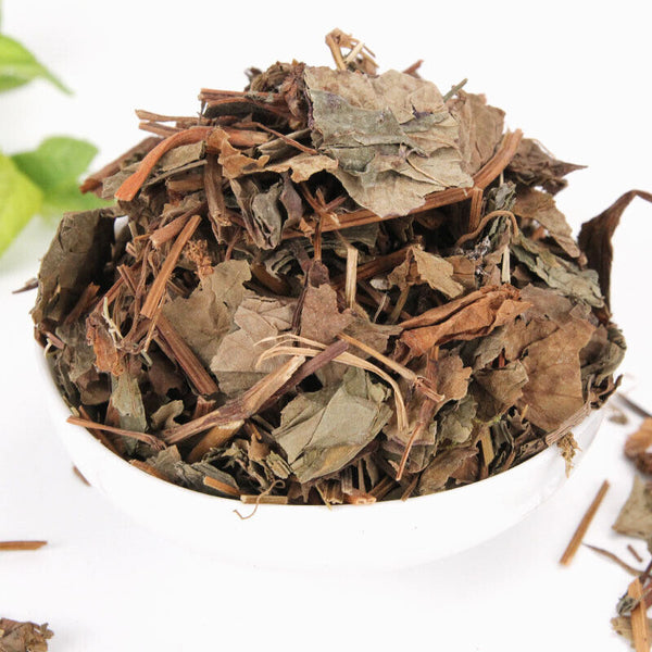 HelloYoung Fishweed Tea Large stock Folded Ear Root Fishweed Dried Chinese Herbs 500g/1.1lb