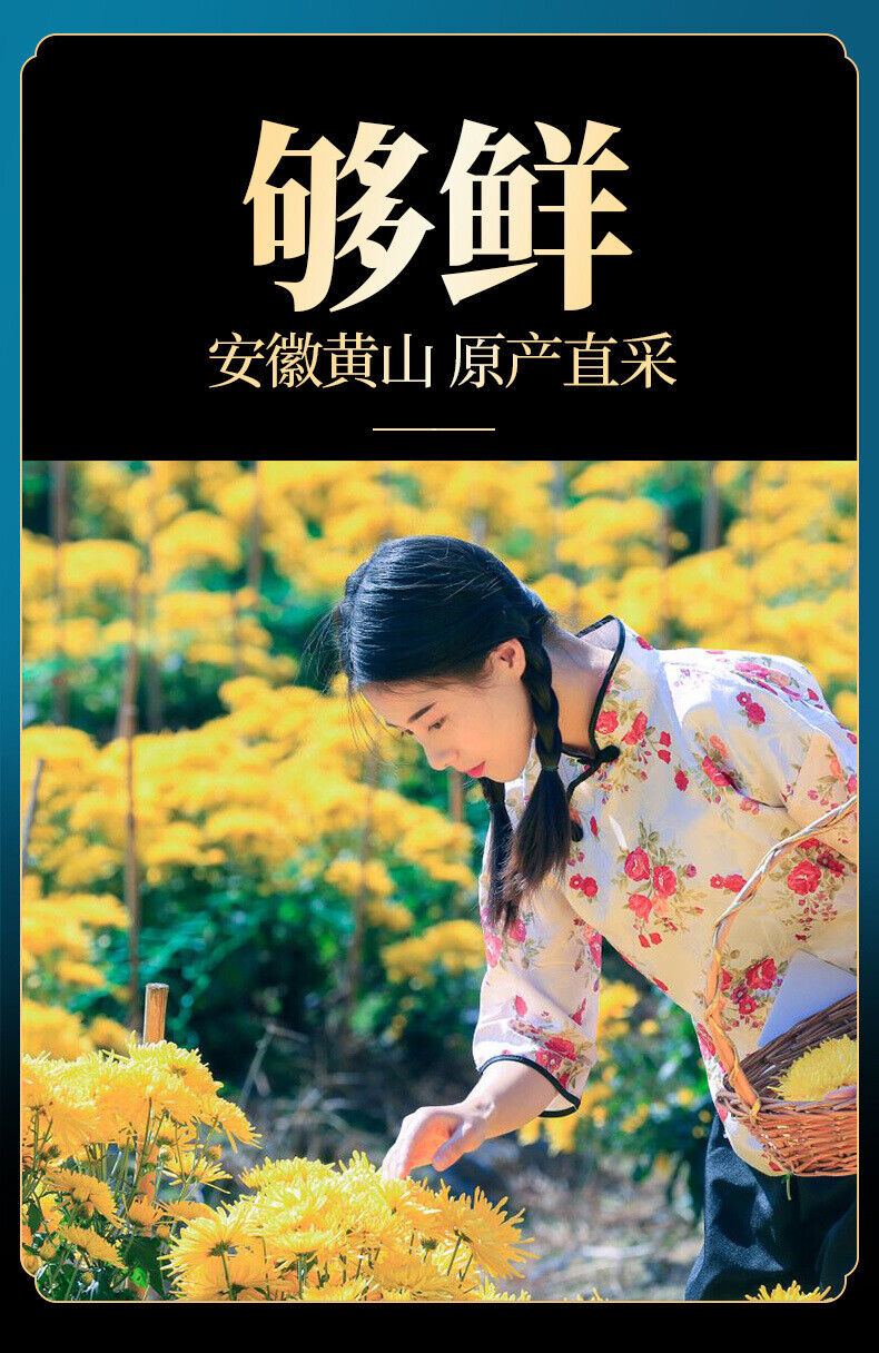 Golden Chrysanthemum Tea Big Yellow Chrysanthemum One Cup Per Flower 12G/BOX