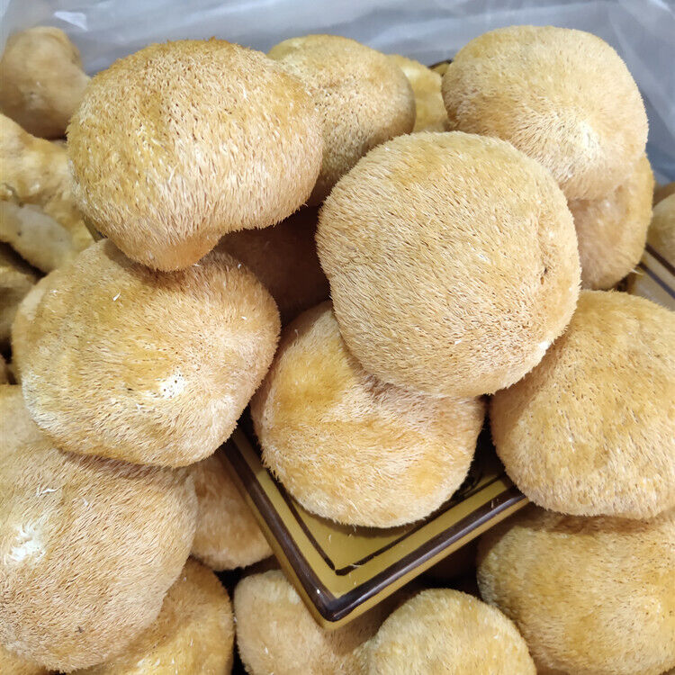 HelloYoung 250g Hericium Erinsceus Mushroom Premium Lions Mane Mushroom Chinese Dried Goods Secondary image