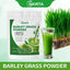 Barley Wakame Green Juice Powder Dietary Fiber Clear Juice Powder