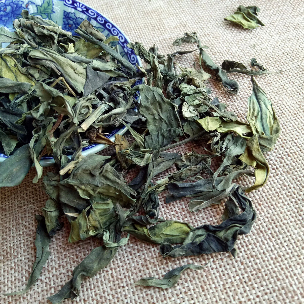 100% Organic Andrographis Paniculata Natural Herbs Cut Without Leaves