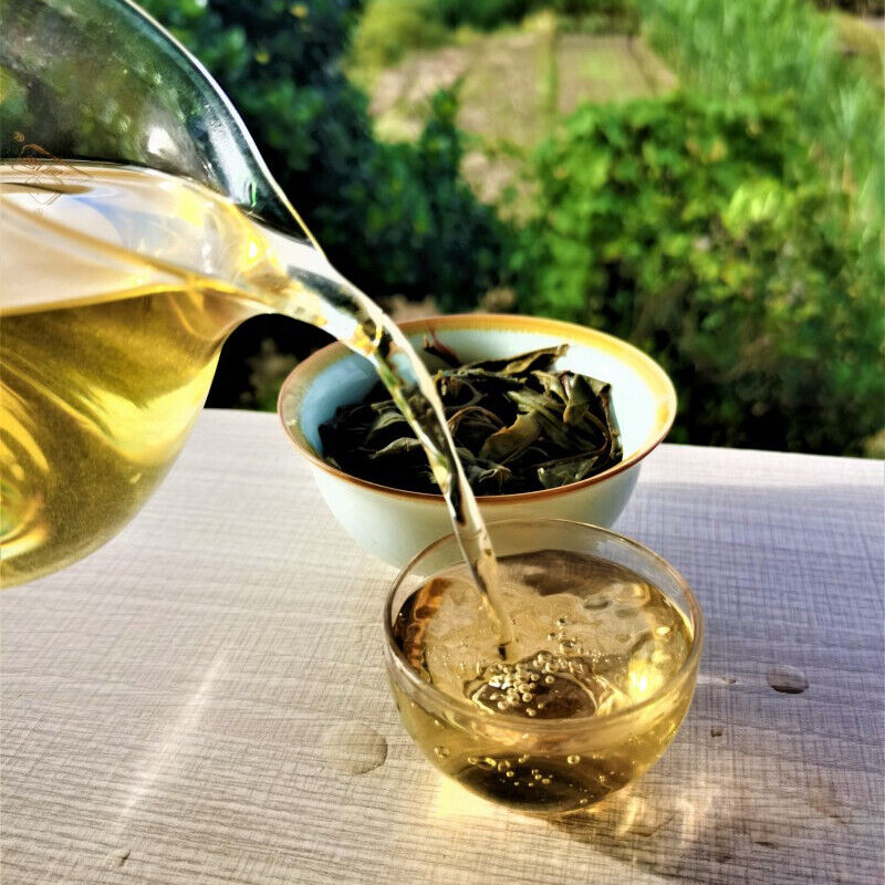 HelloYoung 357g Spring Tea Pu'er Tea Cake Jingmai Ancient Tree Cha Pu'er Tea Gift Tea