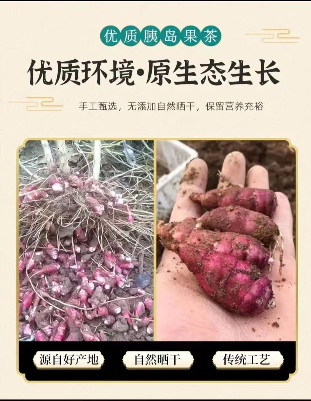 HelloYoung Pancreatic fruit tea herbal primary pancreas fruit ghost ginger chrysanthemum