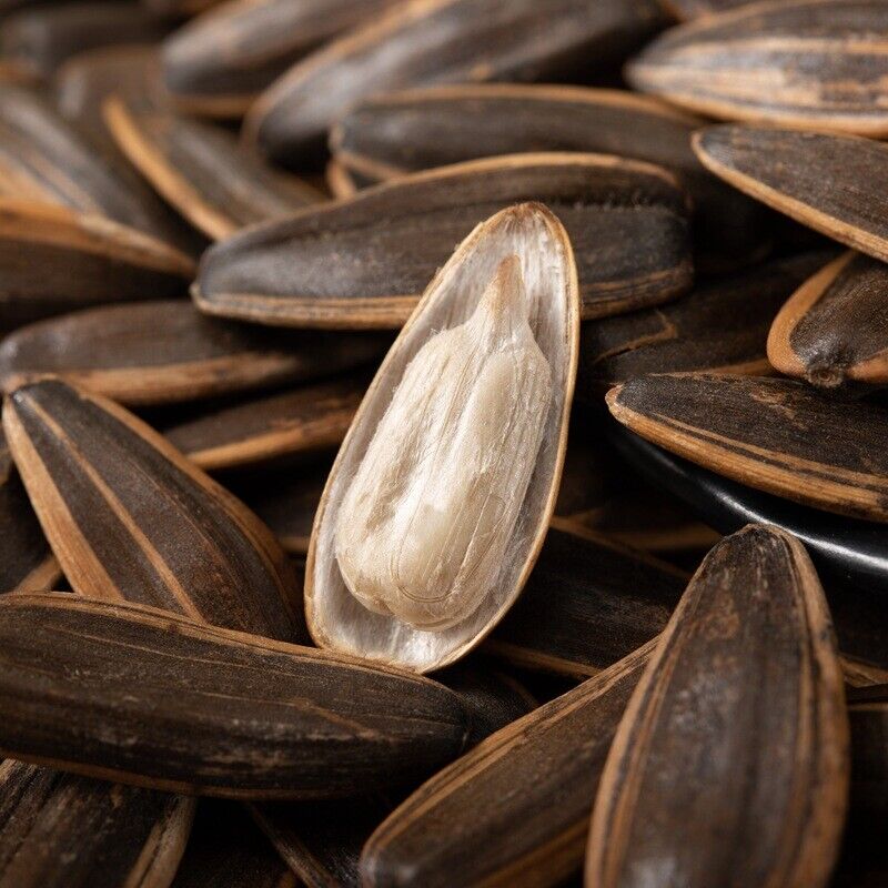 Large Melon Seeds,Caramel Pecan Flavor Sunflower Seeds Roasted Seeds Nuts Snacks