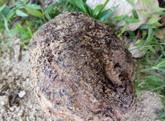 Poria Cocos Slice, Fu Ling Slice Tuckahoe Slice, Hoelen, China Poria Root