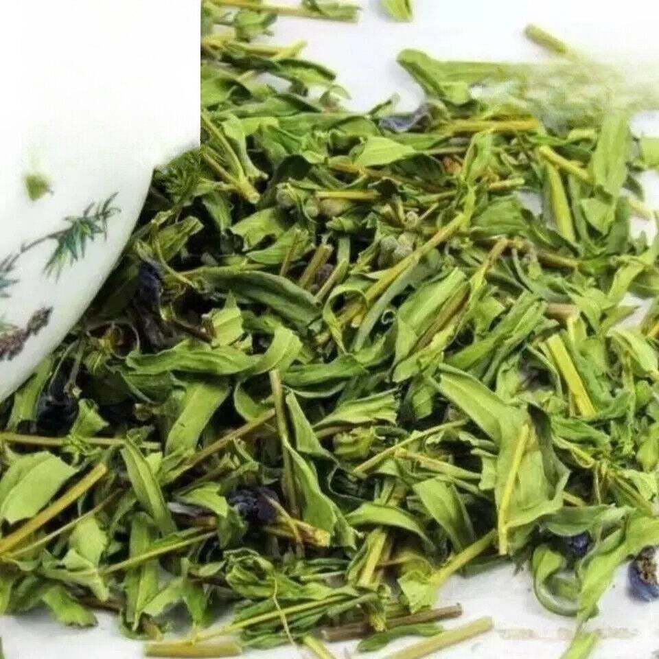 Skullcap Leaf Tea Herb Scutellaria baicalensis Prue