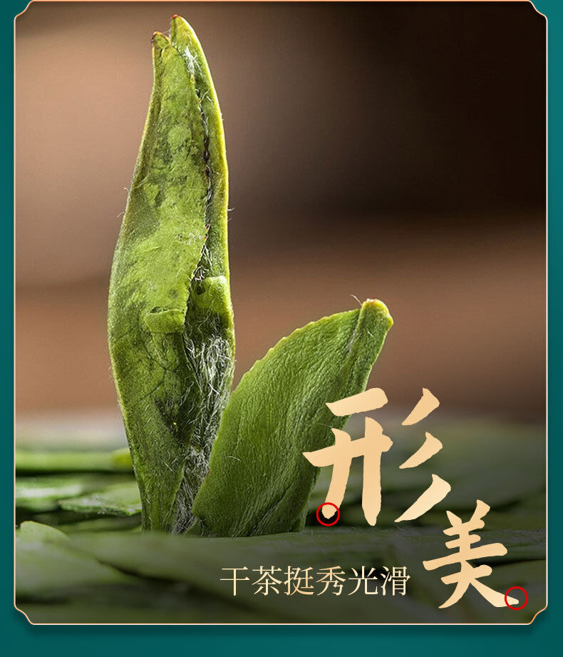 Rich Longjing Green Tea 50G Mingqian Spring Good Tea Canned Tea Loose Tea