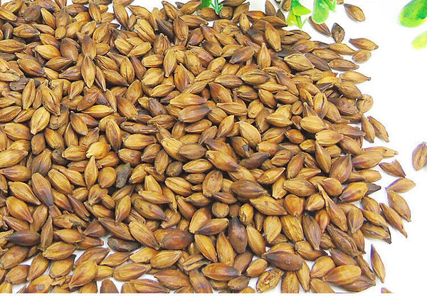 HelloYoung 500g Hot sale Wang He Tang barley tea quality roasted taste mellow