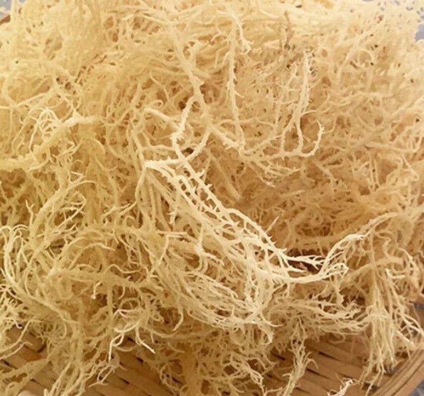 500g Bio Irisches Seemoos – Roh, Vegan & Non-GMO Getrocknete Algen