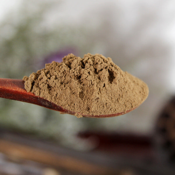 Common Vladimiria Root Extract Powder Chinese Herbal Medicine Mullein Powder