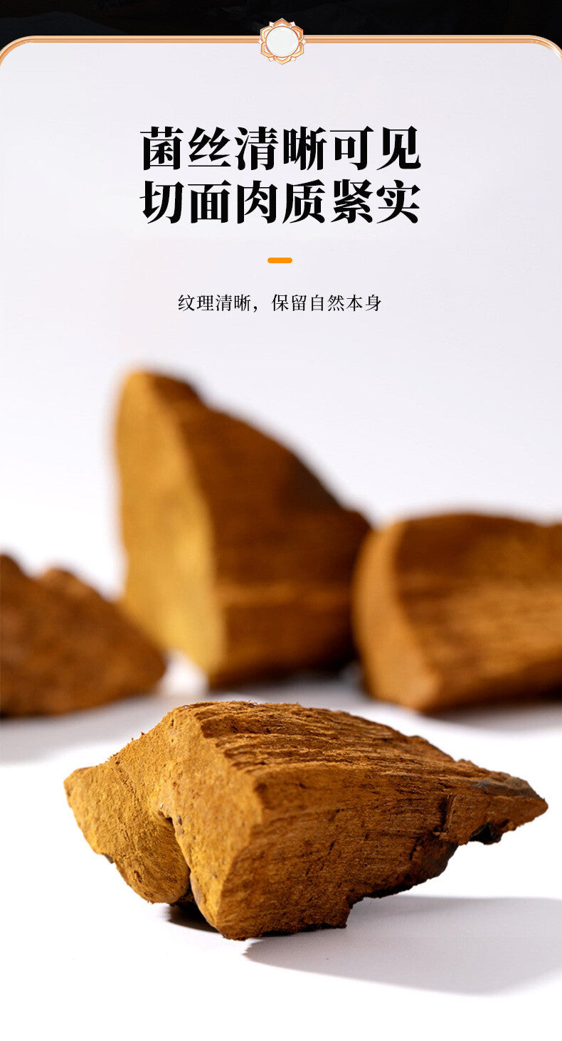 Natural Sanghuang Phellinus Linteus Health Tea Chinese Herbal Tea 50g