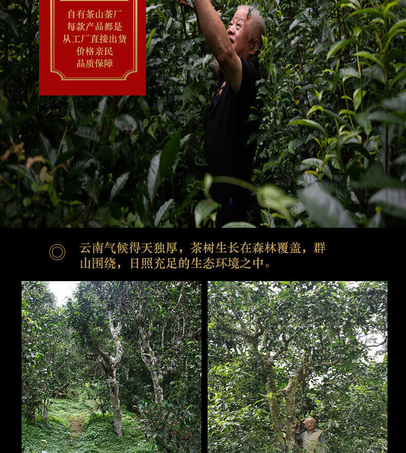 HelloYoung 200g Tianxiang BrownMountain Ripe Cake Yunnan Menghai Pu'er Seven Hand Torn Cake