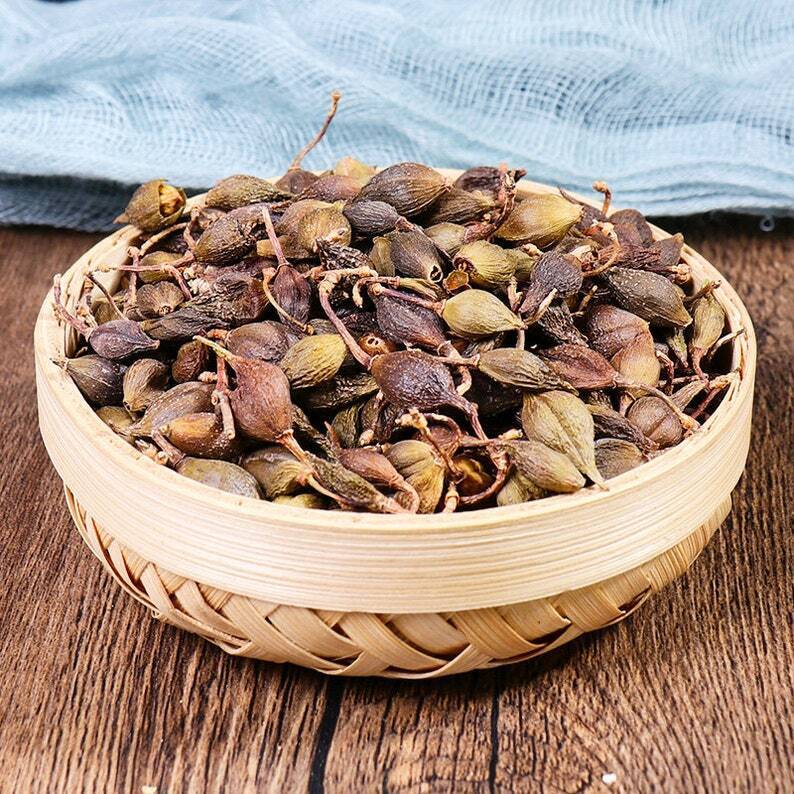 Recommend Dried Weeping Forsythiae Capsule Premium Fructus Forsythiae