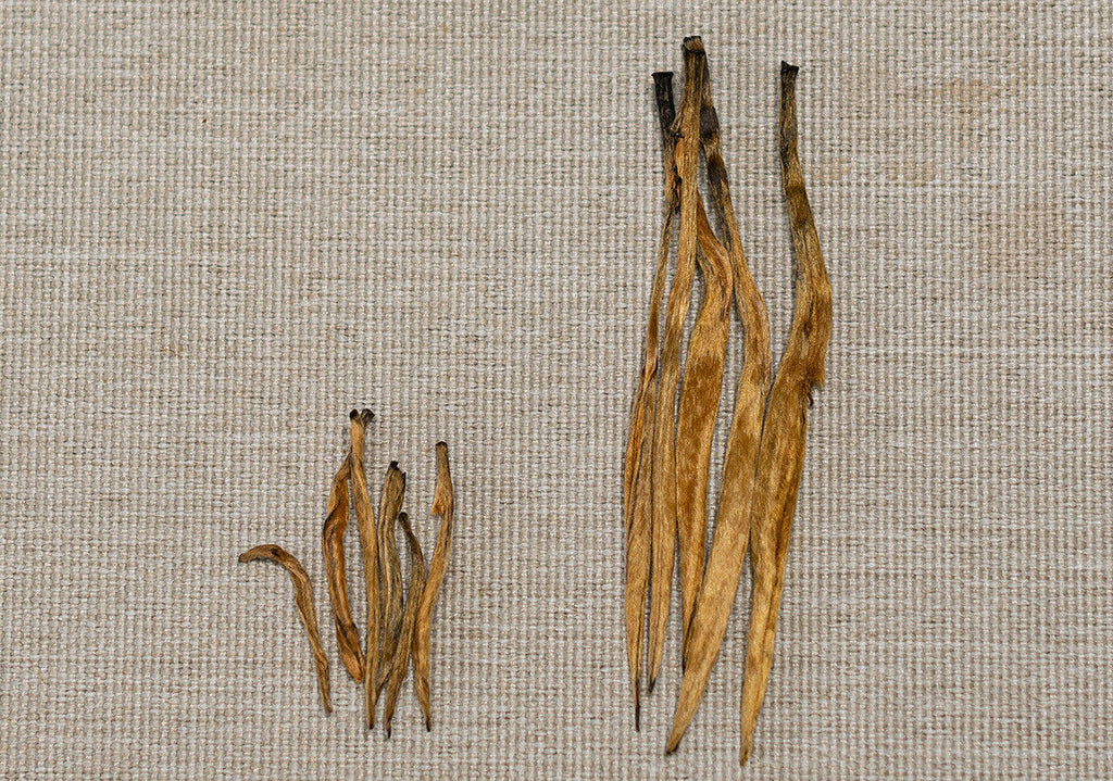 HelloYoung 500G Yunnan Black Tea Mini Gold Needle Fengqing Dian Hong Tea Small Gold Needle