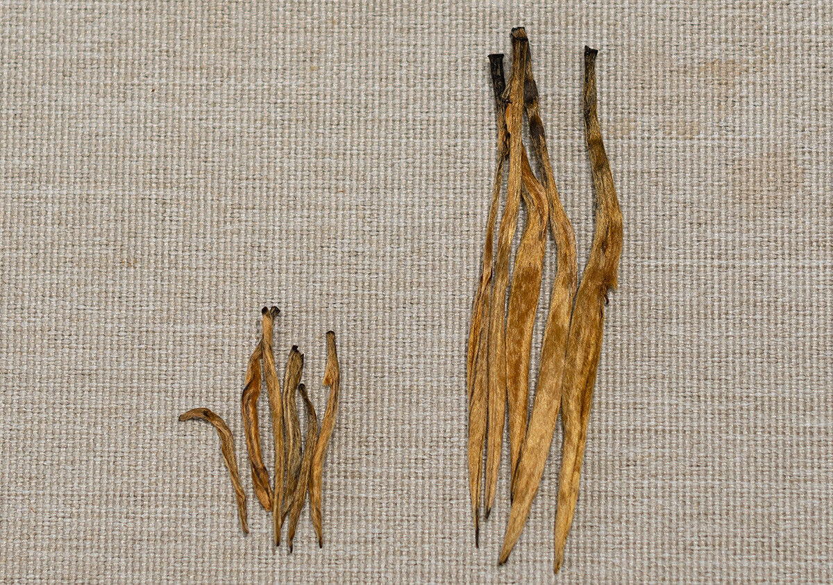 HelloYoung 500G Yunnan Black Tea Mini Gold Needle Fengqing Dian Hong Tea Small Gold Needle