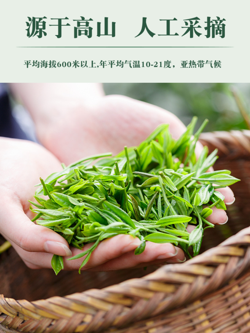 1Kg Hunan Anhua Black Tea Golden Flower Porcelain Brick Tea Hand-built Raw Tea