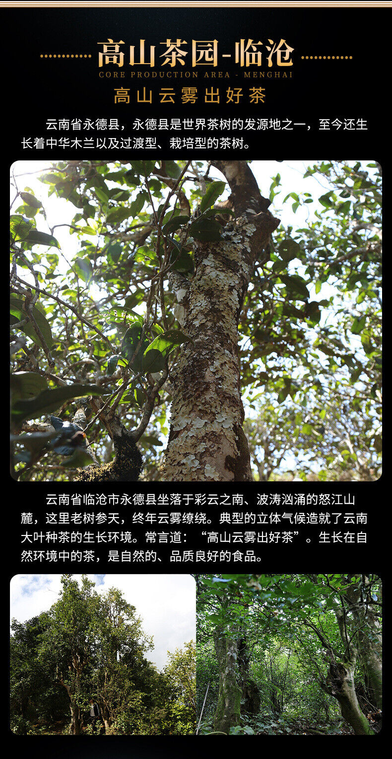 Golden Melon 400g Aged Ancient Tree Pu'er Tea Raw Tea Tuo Tea