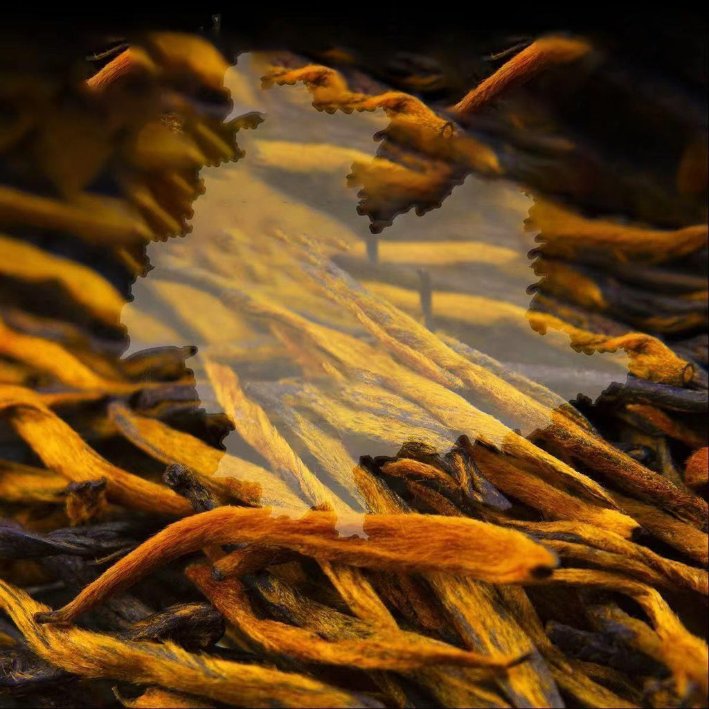 Premium Luzhou-flavor Golden Bud Black Tea New Tea Authentic Dianhong Tea
