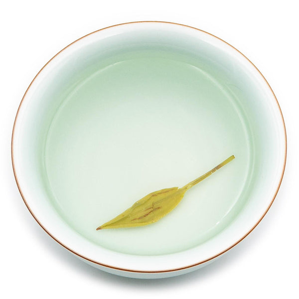 Xinyang Maojian Green Leaf Tea Yuqian